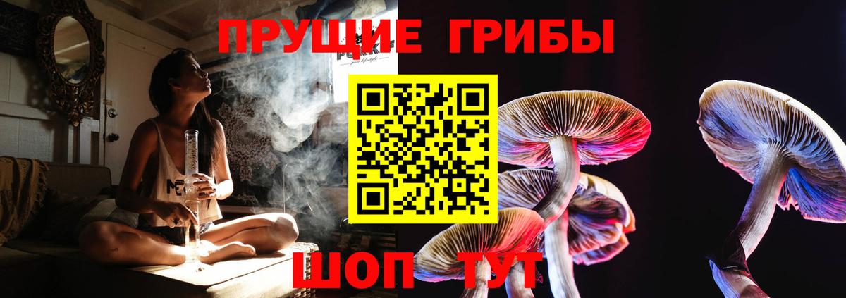 Волгоград  Галлюциногенные грибы Psilocybine cubensis  Вход с VPN  Псилоцибиновые грибы Psilocybe 