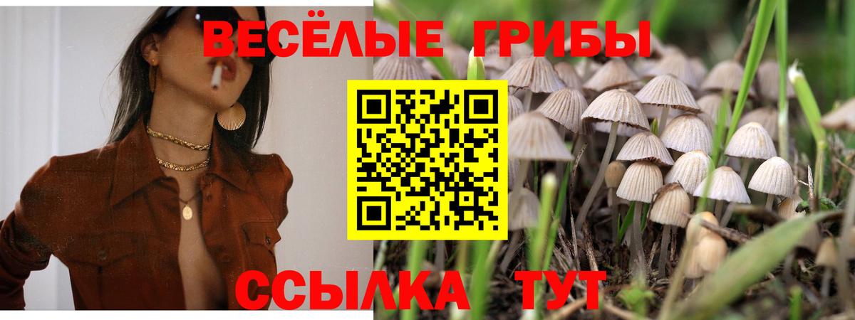 Галлюциногенные грибы мухоморы Волгоград